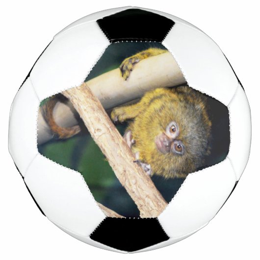 Marmoset Monkey Hi There, Fußball Ball (Vorderseite)
