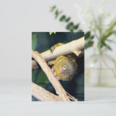 Marmoset Monkey Hi There, Postcard Postkarte (Stehend Vorderseite)