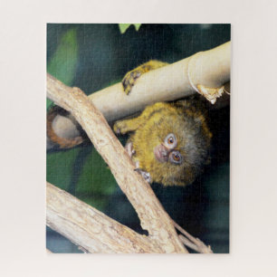 Marmoset Monkey Hi There, Puzzle