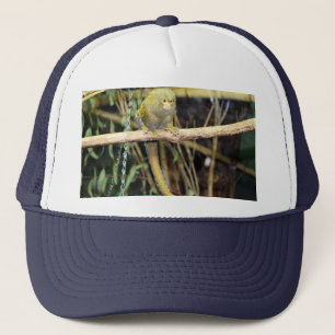 Marmoset Monkey on Alert, Truckers Hat Truckerkappe