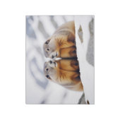 Marmot Animal Nature Zuneigung Gekümmert Notizblock (Rotiert)