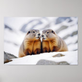 Marmot Animal Nature Zuneigung Gekümmert Poster (Vorne)