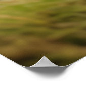 Marmot Animal Wild Beauty Freedom Wilderness Art Poster (Ecke)