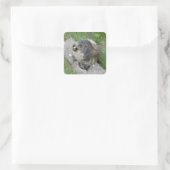Marmot-Aufkleber Quadratischer Aufkleber (Tasche)