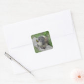 Marmot-Aufkleber Quadratischer Aufkleber (Umschlag)