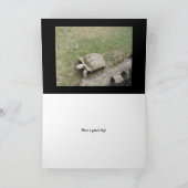 Marmot Birthday Card Karte (Innenseite)