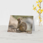 Marmot Birthday Card Karte (Gelbe Blume)