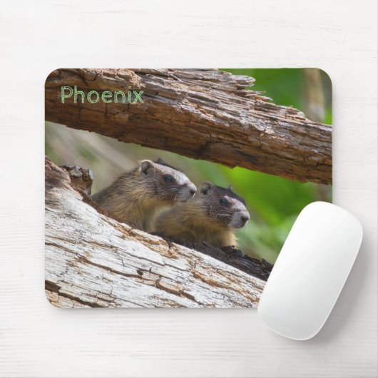 Marmot Brothers Mousepad (Mit Mouse)