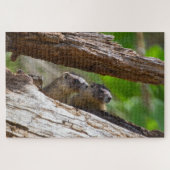Marmot Brothers Puzzle (Horizontal)