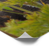 Marmot im Paradies Poster (Ecke)