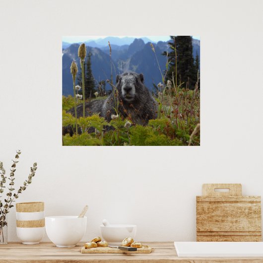 Marmot im Paradies Poster (Küche)