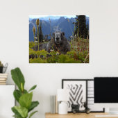 Marmot im Paradies Poster (Heimbüro)
