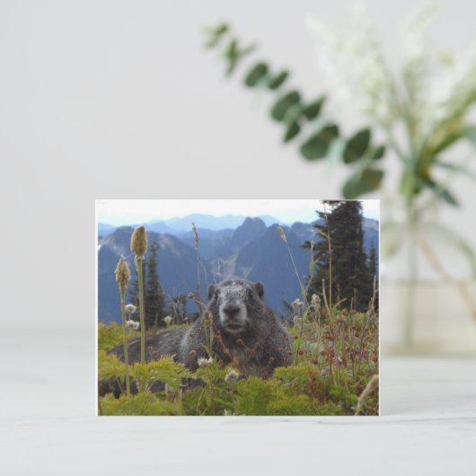 Marmot im Paradies Postkarte (Stehend Vorderseite)
