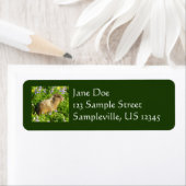 Marmot in den Wildblumen des Berges Rainier (Insitu)