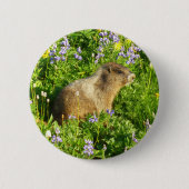 Marmot in den Wildblumen des Berges Rainier Button (Vorderseite)