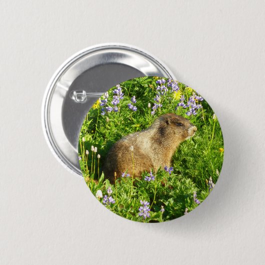 Marmot in den Wildblumen des Berges Rainier Button (Vorne & Hinten)