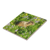 Marmot in den Wildblumen des Berges Rainier Fliese (Seite)