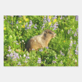 Marmot in den Wildblumen des Berges Rainier Geschenkpapier Set (Vorderseite 3)