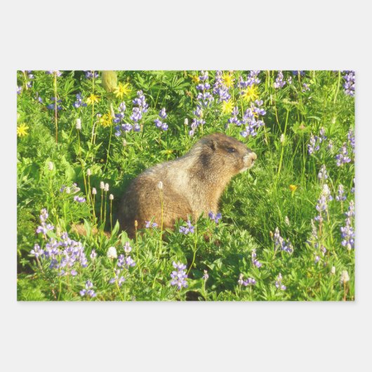 Marmot in den Wildblumen des Berges Rainier Geschenkpapier Set (Vorderseite 3)