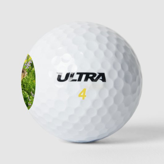 Marmot in den Wildblumen des Berges Rainier Golfball (Logo)