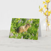 Marmot in den Wildblumen des Berges Rainier Karte (Gelbe Blume)