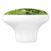 Marmot in den Wildblumen des Berges Rainier Keramikknauf (Seitenansicht)