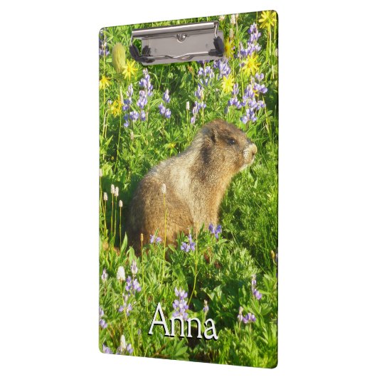 Marmot in den Wildblumen des Berges Rainier Klemmbrett (Links)
