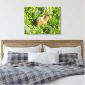 Marmot in den Wildblumen des Berges Rainier Leinwanddruck (Insitu (Schlafzimmer))