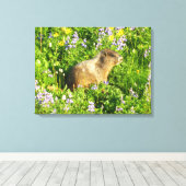 Marmot in den Wildblumen des Berges Rainier Leinwanddruck (Insitu (Holzboden))