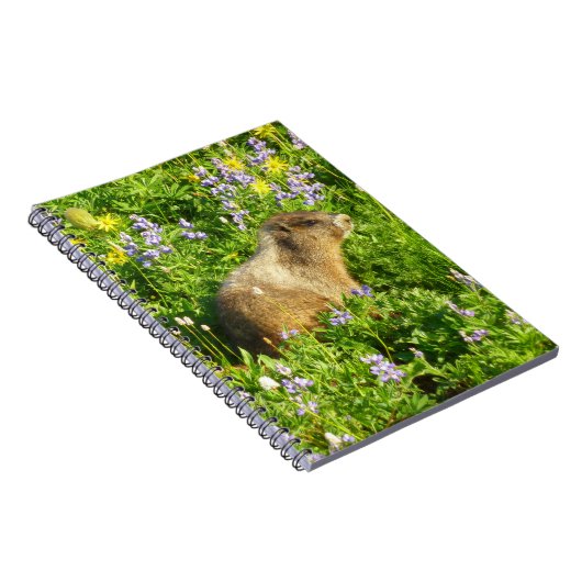Marmot in den Wildblumen des Berges Rainier Notizblock (Rechte Seite)