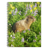 Marmot in den Wildblumen des Berges Rainier Notizblock (Vorderseite)