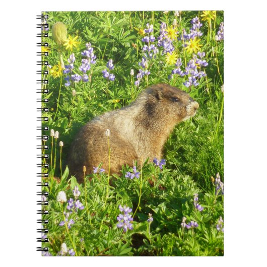 Marmot in den Wildblumen des Berges Rainier Notizblock (Vorderseite)