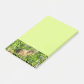 Marmot in den Wildblumen des Berges Rainier Post-it Klebezettel (angewinkelt)