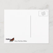 Marmot in den Wildblumen des Berges Rainier Postkarte (Rückseite)