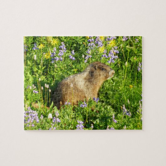 Marmot in den Wildblumen des Berges Rainier Puzzle (Horizontal)