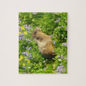 Marmot in den Wildblumen des Berges Rainier Puzzle (Vertikal)