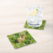 Marmot in den Wildblumen des Berges Rainier Rechteckiger Pappuntersetzer (Vor Ort)