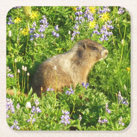 Marmot in den Wildblumen des Berges Rainier Rechteckiger Pappuntersetzer (Vorderseite)