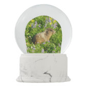 Marmot in den Wildblumen des Berges Rainier Schneekugel (Rückseite)