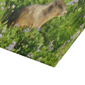 Marmot in den Wildblumen des Berges Rainier Schneidebrett (Ecke)