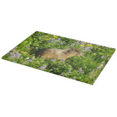 Marmot in den Wildblumen des Berges Rainier Schneidebrett (Ecke)