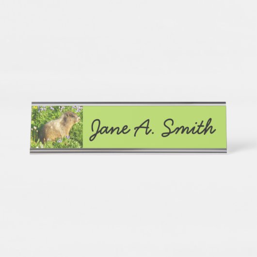 Marmot in den Wildblumen des Berges Rainier Schreibtischnamensplakette (Vorderseite )