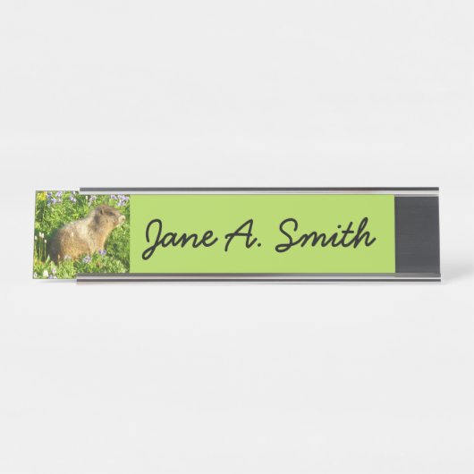 Marmot in den Wildblumen des Berges Rainier Schreibtischnamensplakette (Vorderseite )