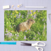 Marmot in den Wildblumen des Berges Rainier Seidenpapier (Handwerk)