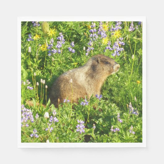 Marmot in den Wildblumen des Berges Rainier Serviette (Vorderseite)
