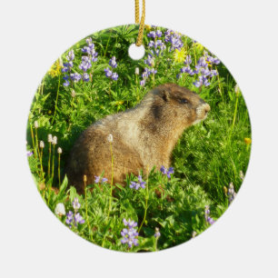 Marmot in Mount Rainier Wildflowers Keramik Ornament