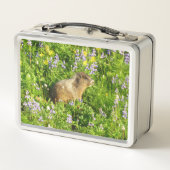 Marmot in Mount Rainier Wildflowers Metall Brotdose (Rückseite)