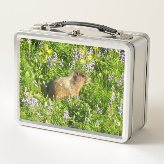 Marmot in Mount Rainier Wildflowers Metall Brotdose (Vorderseite)