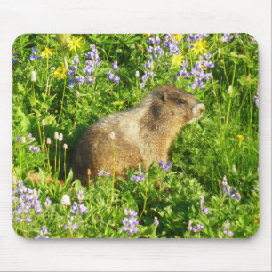 Marmot in Mount Rainier Wildflowers Mousepad