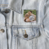 Marmot, Marmota flaviventris, Button (Beispiel)